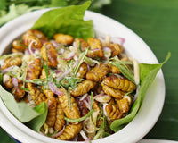 Future of food: should we all be eating silkworms?