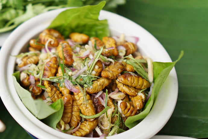 Future of food: should we all be eating silkworms?