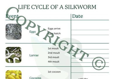 Life Cycle Fill-in Sheet