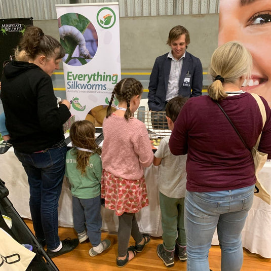 Interested in a school incursion with Everything Silkworms?