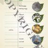 Silkworm Life Cycle Fill-in Sheet - Copyright Version