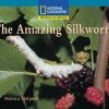 Book - The Amazing Silkworm Cover