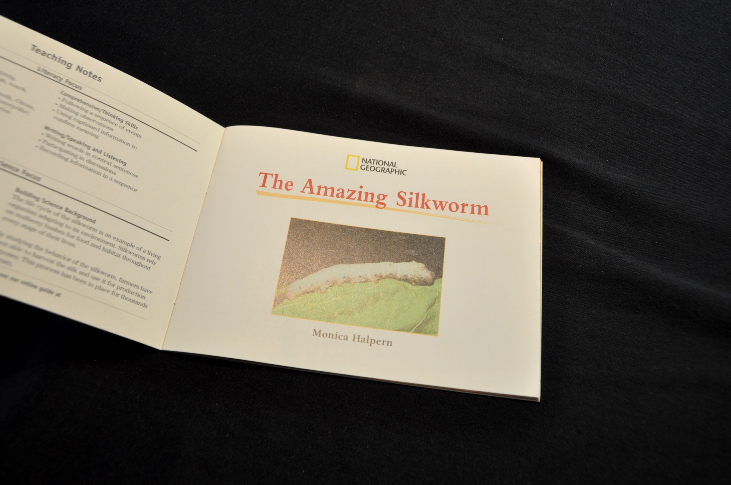 The Amazing Silkworm Book