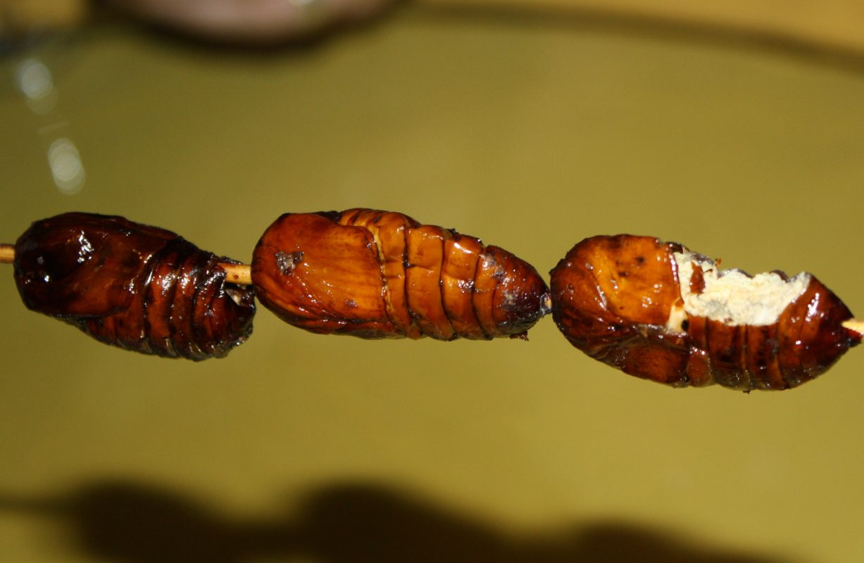 Fried Silkworms on a stick