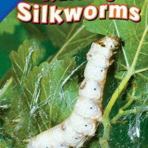 Cover of Book - Raising Silkworms
