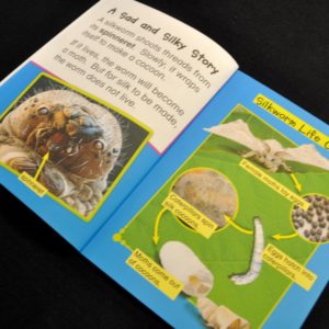 Raising Silkworms Book